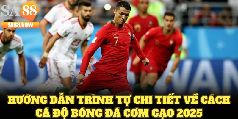 Hướng dẫn trình tự chi tiết về cách cá độ bóng đá cơm gạo 2025 Hướng dẫn trình tự chi tiết về cách cá độ bóng đá cơm gạo 2025